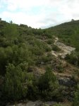 DSCN6408.JPG