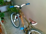 26102008466.jpg