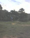 salto curba.jpg