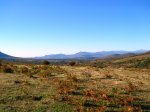 DSCN4823.JPG