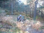 Foto6.JPG