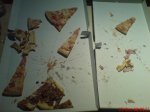 DSC00560.jpg