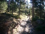 Foto28.JPG