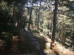 Foto31.JPG
