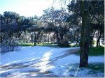 IMGP0726.JPG