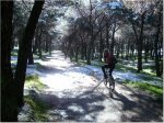IMGP0751.JPG