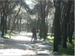 IMGP0761.JPG