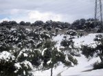 DSC00838.jpg