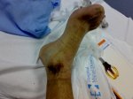26102008432.jpg