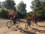 DSC05377.jpg
