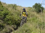 DSC05387.jpg