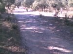 Imagen001.jpg