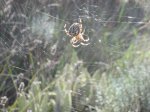 IMG_0112.JPG