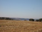 IMG_0015.JPG