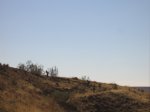 IMG_0029.JPG