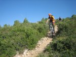 IMG_7842.jpg