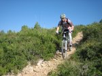 IMG_7844.jpg