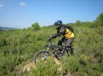 IMG_7860.jpg