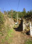 PA260169.jpg