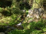 PA260175.JPG