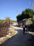 PA260178.jpg