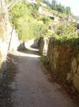 PA260179.jpg