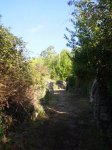 PA260182.jpg