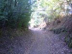 PA260194.JPG