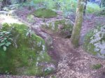 PA260197.JPG