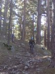 DSC00032.jpg