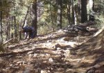 DSC00036.jpg