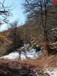 foromtb_image_25oct_04_num.jpg