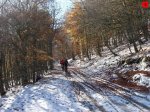 foromtb_image_25oct_05_num.jpg