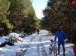 foromtb_image_25oct_07_num.jpg