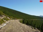 foromtb_image_25oct_25_num.jpg