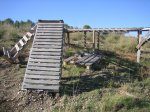 IMG_2890.jpg
