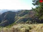 foromtb_image_25oct_27_num.jpg