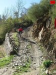 foromtb_image_25oct_30_num.jpg