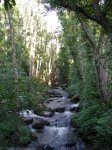 DSCN0412.jpg
