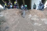 IMG_4119.JPG