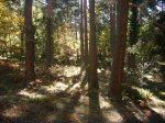 Foto9.JPG