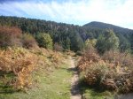 Foto19.JPG