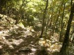 Foto23.JPG