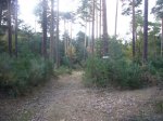 Foto29.JPG