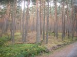 Foto30.JPG