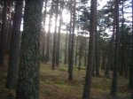 Foto31.JPG