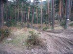 Foto33.JPG