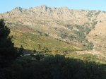PA250075.jpg