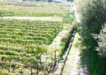 leiro oct 2008 016.jpg