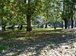 leiro oct 2008 038.jpg
